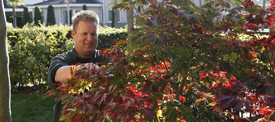 René Spieker uw hovenier